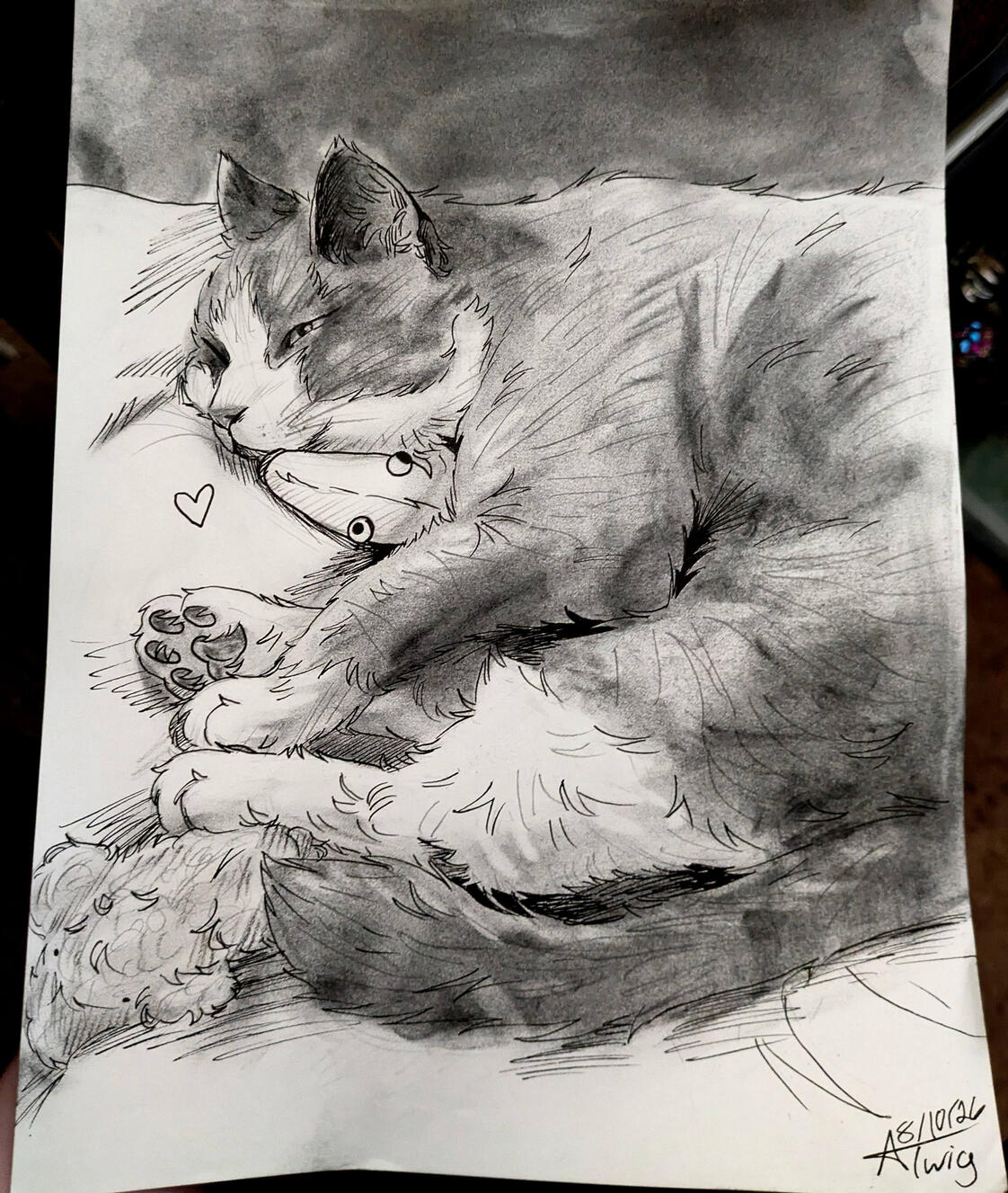 Untitled